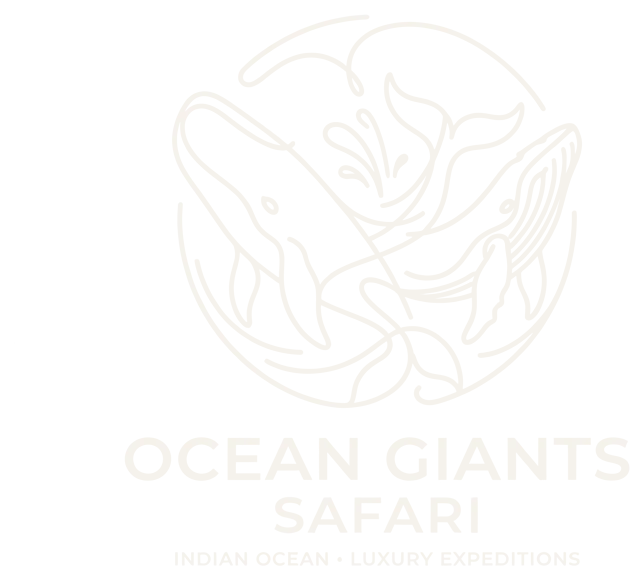 Ocean Giants Safari